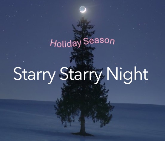 Holiday Starry Starry Night