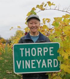 fumie thorpe, owner thorpe vineyard